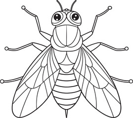 Housefly coloring worksheet for insect lovers