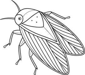 Leafhopper nature worksheet for coloring kids