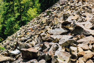 Rocky terrain with colorful stones and lush greenery in a forest setting