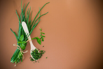 Natural seasonings from greens and onions on brown background