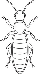Rove beetle insect coloring fun for toddlers