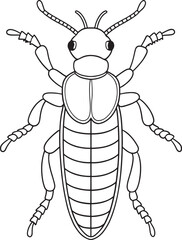 Rove beetle preschool line art page