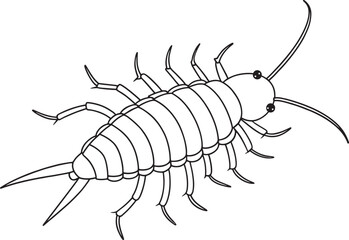 Silverfish kids coloring activity worksheet