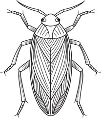 Water boatman preschool insect illustration