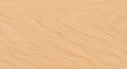 Obraz premium Light Beech Wood Surface Uniform Tone Fine Pores Natural Grain Timber Texture