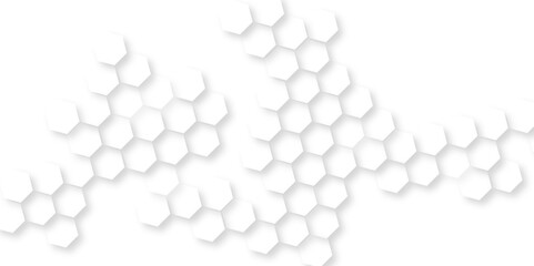 abstract honeycomb mosaic white background,  group of hexagons are arranged in rows, abstract geometric white texture background, white Wide hexagon background site head 3d illustration.