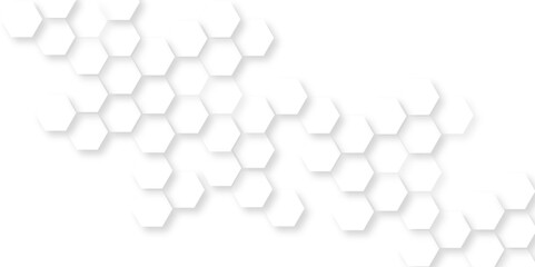  Hexagon white light and shadow background,  modern abstract vector polygonal pattern luxury White Pattern, abstract white vector wallpaper with hexagon grid, abstract hexagon honeycomb background.