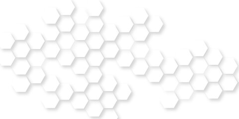  Hexagon white light and shadow background,  modern abstract vector polygonal pattern luxury White Pattern, abstract white vector wallpaper with hexagon grid, abstract hexagon honeycomb background.