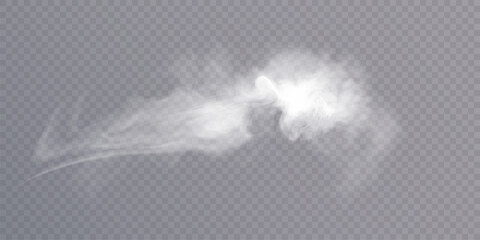 Clouds of white smoke or steam with realistic texture on transparent background. Vector smoke to simulate fog, cold breath, magic effect or explosion.