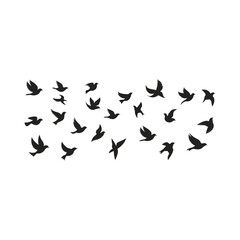 Naklejka premium Silhouettes of flying birds in a flock symbolic of freedom and peaceful movement