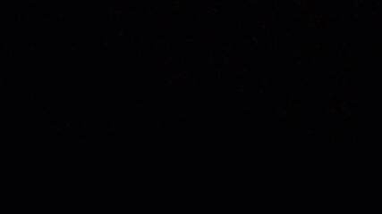 Non-looped video of colorful firework explosion on transparent background with alpha channel. Front view, vibrant light burst and particles. Perfect for celebration, holiday, or festive overlays.