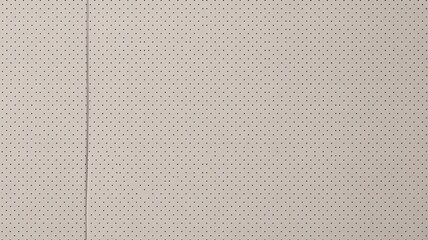 Beige Perforated Panel Texture with Regularly Spaced Holes