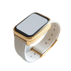 belt on white background