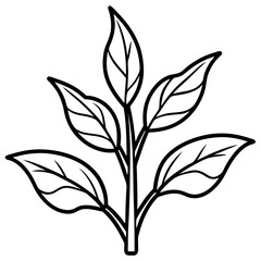 Seedling Sprout Line Art Vector