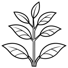 Seedling Sprout Line Art Vector