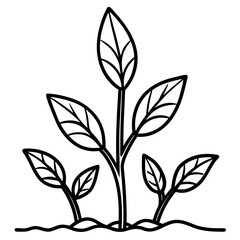 Obraz premium Seedling Sprout Line Art Vector