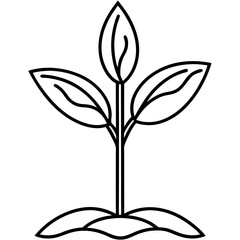 Spring Sprout Line Art Vector