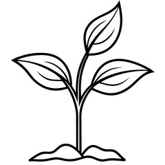 Spring Sprout Line Art Vector