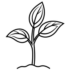 Spring Sprout Line Art Vector