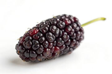 Single ripe blackberry on white background