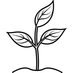 Tiny Seedling Outline Vector