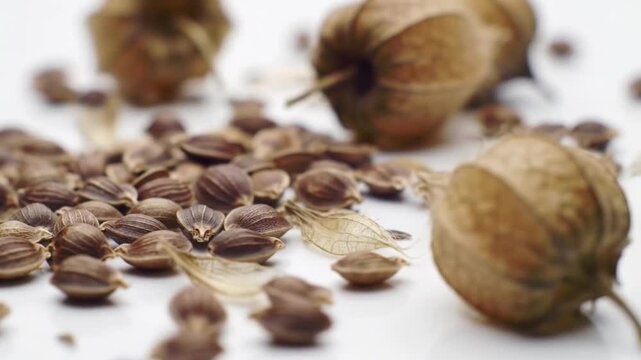 Thulasi sacred basil seeds and husks scattered on white surface. Ideal for health articles, herbal product labels, natural medicine websites.