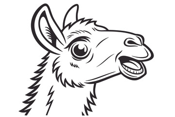 Monochrome llama gazes cheerfully forward with its mouth slightly open in black and white