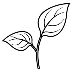 Twin Leaf Line Art