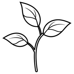 Twin Leaf Line Art
