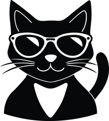 black cat on white background