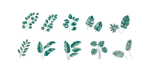 Textured Green Botanical Leaf Set