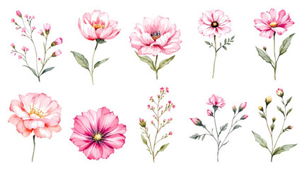 Fototapeta premium Spring flowers collage, Watercolor floral background, set of floral elements