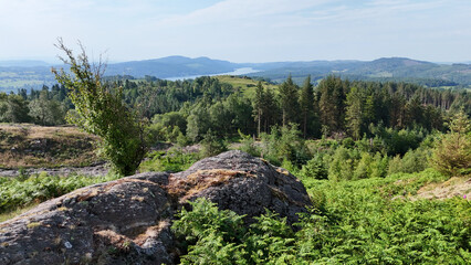 Elevated view over green hills and forest in the Lake District, with rocky foreground and a distant lake under a clear sky