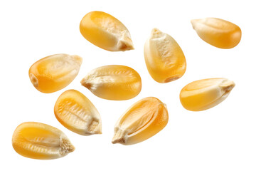 Macro shot of yellow corn kernels on transparent background
