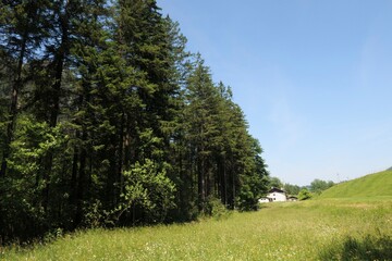 Obraz premium Exploring the tranquil landscapes of Füssen region in Germany with lush greenery and clear blue skies during daytime