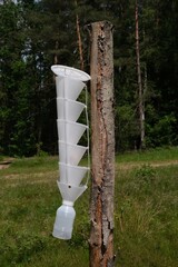 Pheromone trap, specifically a funnel-type trap, used for monitoring or controlling insect...