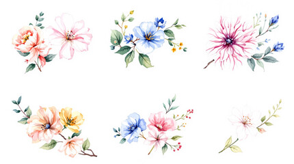 colorful floral background