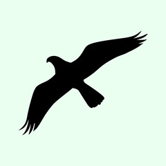 Soaring Silhouette: An eagle takes flight, its silhouette against a serene pastel background, capturing the essence of freedom and majesty.
