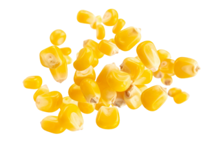 Flying corn kernels, cut out.