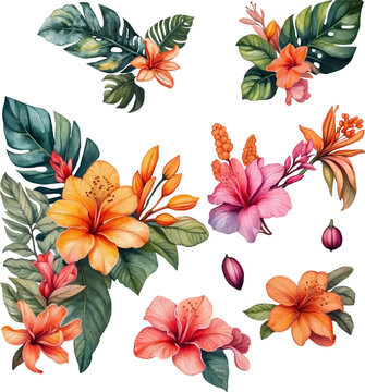 set of tropical leaf and flower isolated clip art watercolor