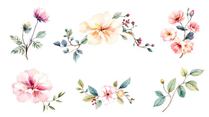 Set of flowers, set of spring flowers