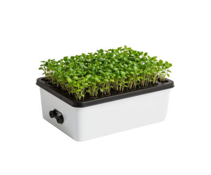 Innovative Portable Solar Nutrient Unit Showcasing Sustainable Microgreens Cultivation for Urban Environments