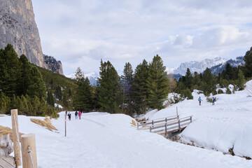 March 2025: View of the Rosegarden from the Vajolet valley, Catinaccio and Gardeccia, Trentino,...