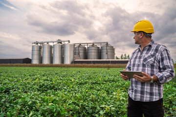 Man agricultural expert with tablet on soy bean field looking at plants and entering data in digital tablet, silos in the back in sunset  © phoenix021