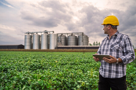 Man agricultural expert with tablet on soy bean field looking at plants and entering data in digital tablet, silos in the back in sunset 