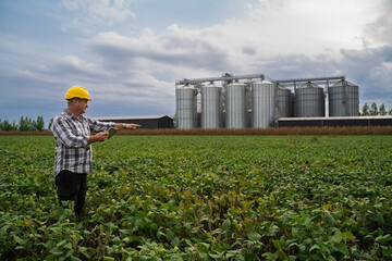 Man agricultural expert with tablet on soy bean field looking at plants and entering data in digital tablet, silos in the back  © phoenix021