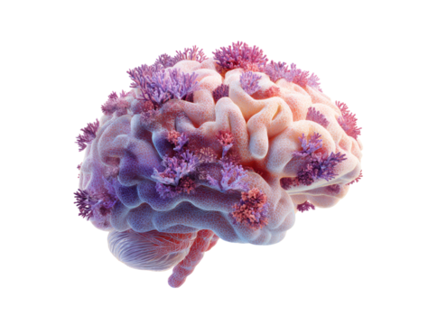 Brain coral reef illness neurological disease medical concept, Isolated On White, Png Transparent