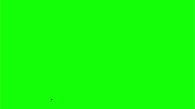 Checkered Racing Flag Waving on Green Screen - Finish Line Animation