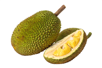  jackfruit isolated on white background png, ai generated