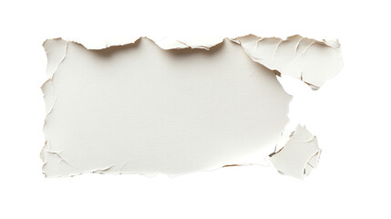 Fototapeta premium Torn paper texture isolated on a black background for creative design projects.